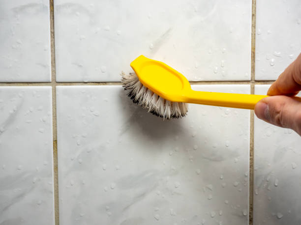 Best Home Mold Removal  in Lookout Mountain, GA