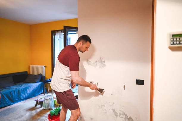Best Same-Day Mold Removal  in Lookout Mountain, GA